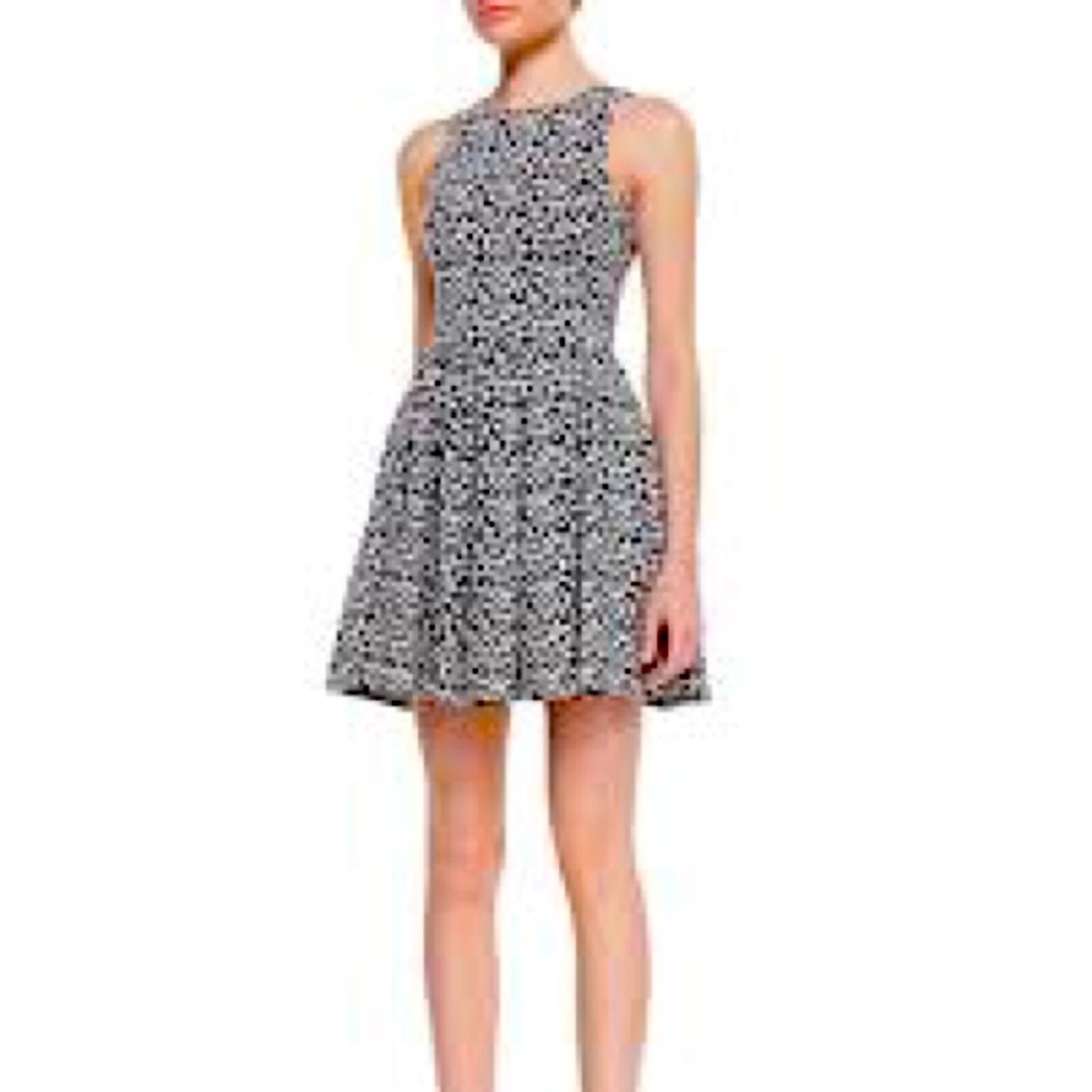Tibi Leopard-Print Fit-&-Flare Knit Dress